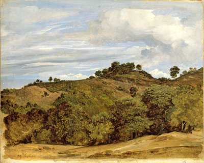 Landscape Near Olevano by Heinrich Reinhold